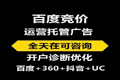 百度广告竞价策略详解：某电商平台的成功案例